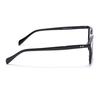 Onyx | Wayfarer Sunglasses