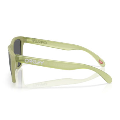 Oakley Frogskin
