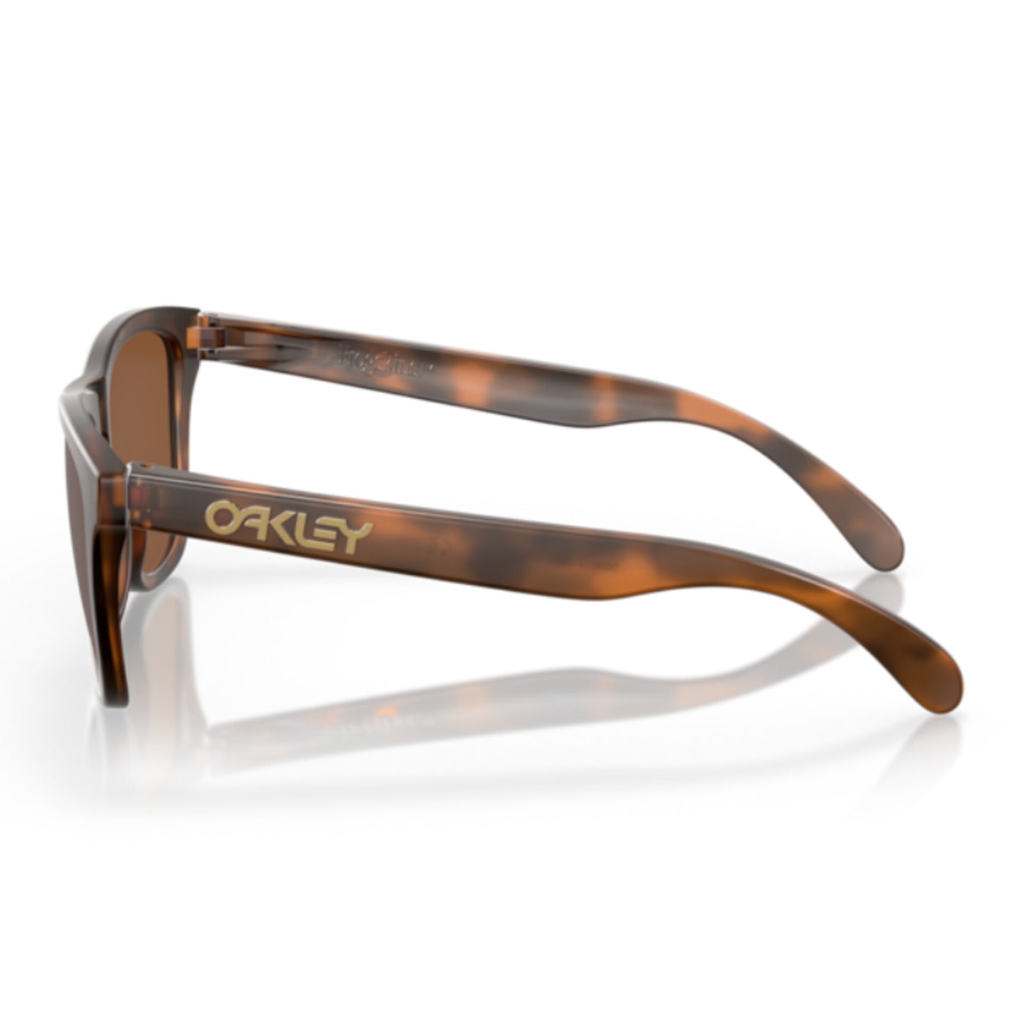 Oakley Frogskin