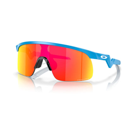 Oakley Resistor