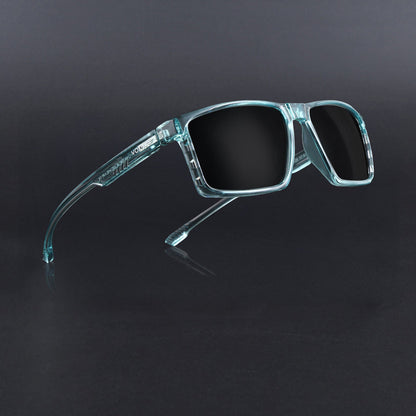 Wayfarer Polarized Sunglasses